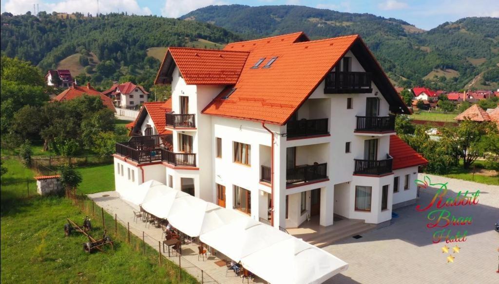 Hotel Rabbit Bran Моечу-де-Жос Экстерьер фото